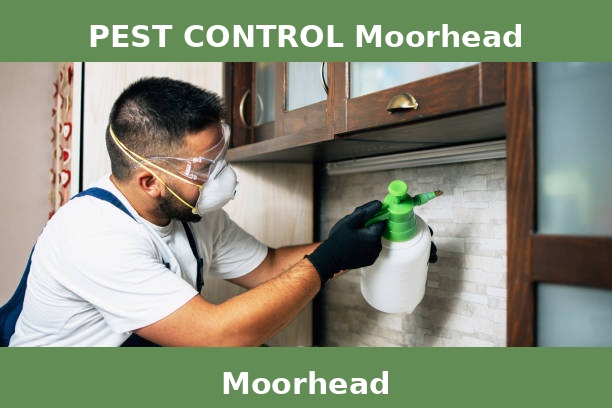 PEST CONTROL Moorhead